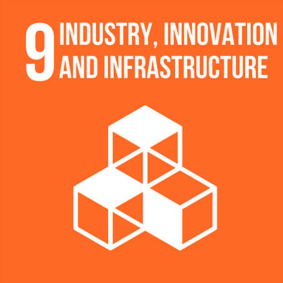industry, innovation and infrastructure graphic
