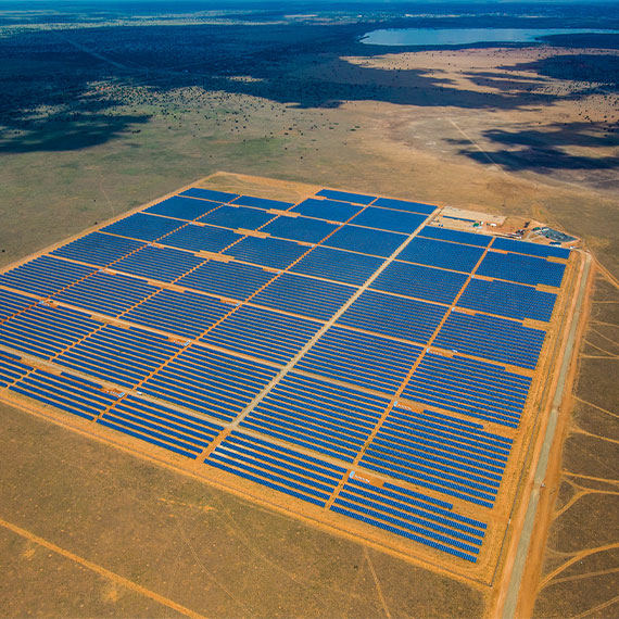solar panel farm